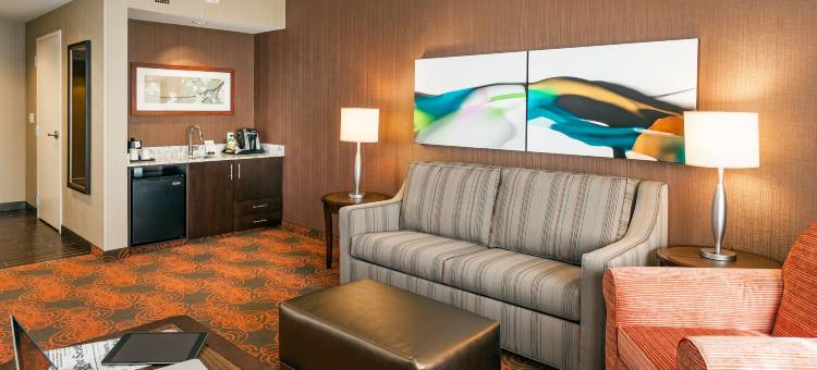 西雅图市中心希尔顿花园酒店(Hilton Garden Inn Seattle Downtown)图片