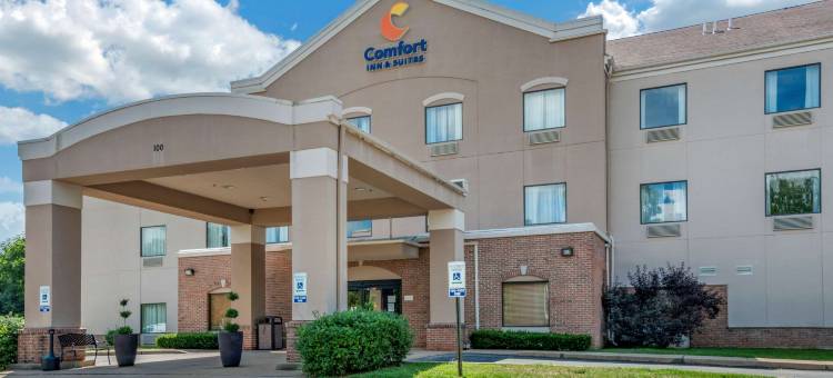 圣路易斯奥法伦舒适套房酒店(Comfort Inn & Suites St Louis-O'Fallon)图片