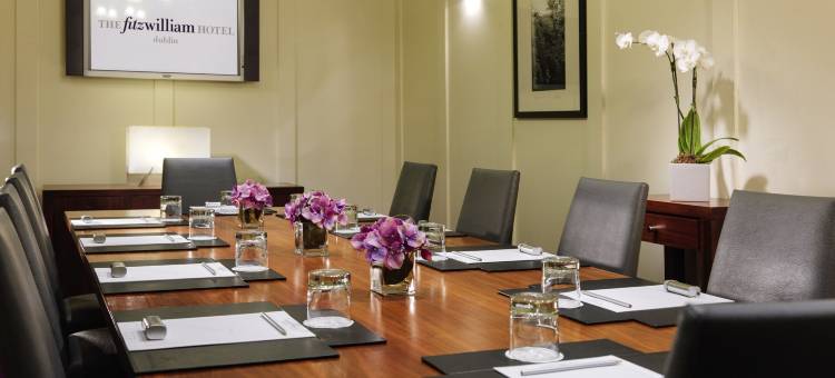 法斯特费兹威廉酒店(The Fitzwilliam Hotel Dublin)图片