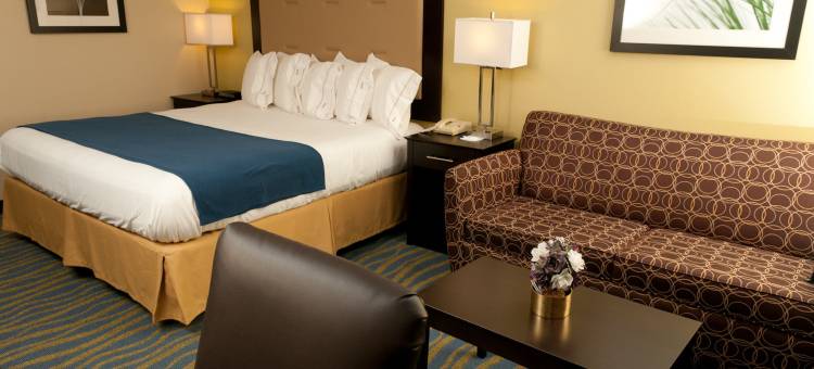 智选假日套房酒店布卢明顿市中心 - 正常(Holiday Inn Express & Suites Bloomington - Normal)图片