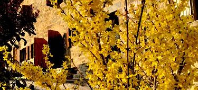 格兰奇德萨格纳住宿加早餐旅馆(Grange de Sagne Maison et Table D hôtes Avec dîner Sur réservation)图片