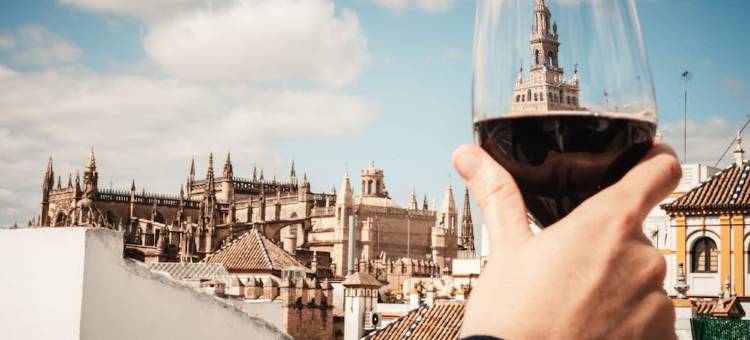 圣克鲁斯卡萨斯精品酒店(Hotel Boutique Casas de Santa Cruz)图片