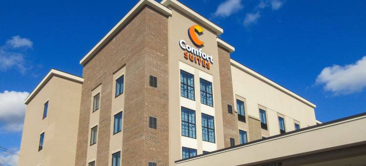 凯艺酒店(Comfort Suites)图片