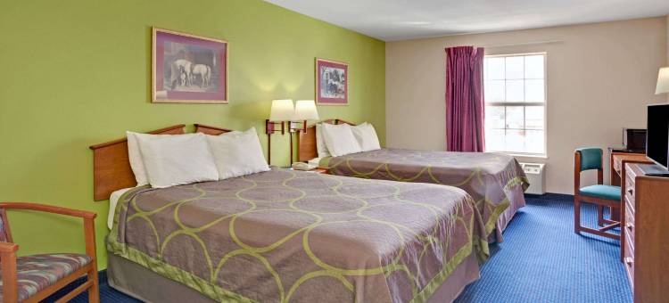 路易斯威尔-博览中心温德姆速8酒店(Super 8 by Wyndham Louisville/Expo Center)图片