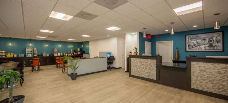 亚历山德里亚-华盛顿特区速8酒店(Super 8 by Wyndham Alexandria/Washington D.C. Area)图片