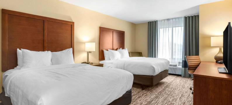 埃姆斯爱荷华州立大学校园附近舒适套房酒店(Comfort Inn and Suites Ames Near Isu Campus)图片