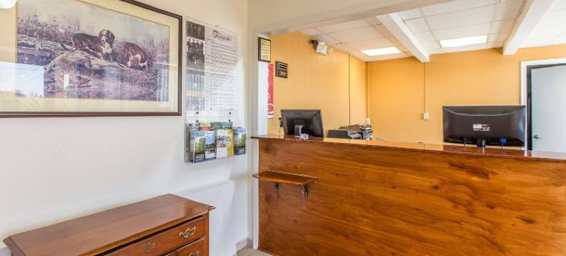 托马斯维尔伊克诺旅馆(Econo Lodge)图片