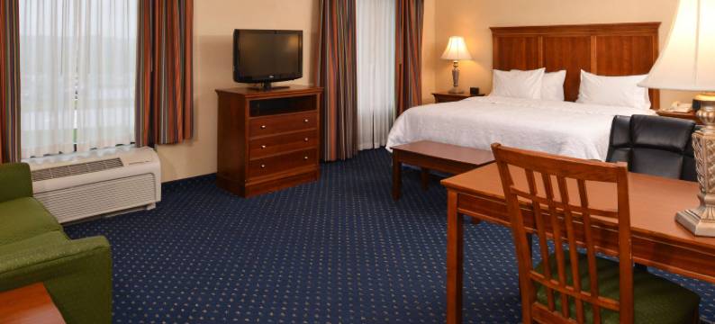 希尔顿欢朋套房酒店-南弗雷德里克斯堡(Hampton Inn & Suites Fredericksburg South)图片