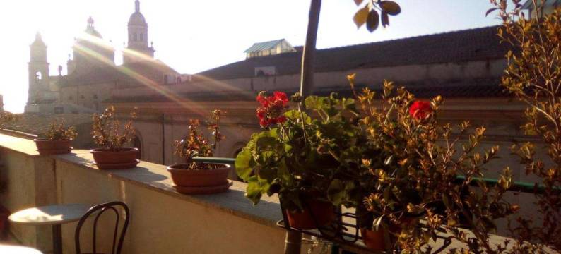 卡尔塔尼塞塔广场酒店(Hotel Plaza Caltanissetta)图片