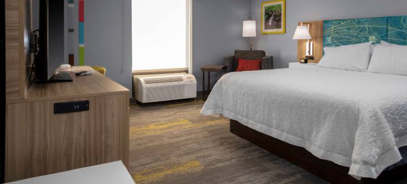 格雷特纳 - 史密斯山湖希尔顿欢朋酒店(Hampton Inn by Hilton Gretna)图片