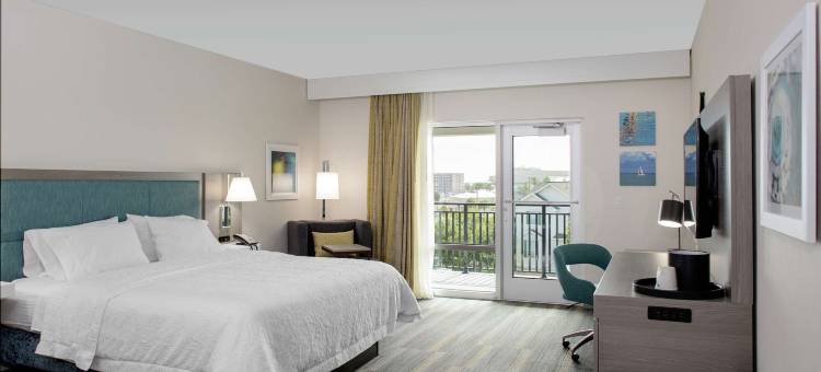 达尼丁欢朋酒店(Hampton Inn by Hilton Dunedin)图片