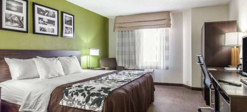 I-90 及阿什塔比拉区舒眠套房酒店(Sleep Inn & Suites Near I-90 and Ashtabula)图片