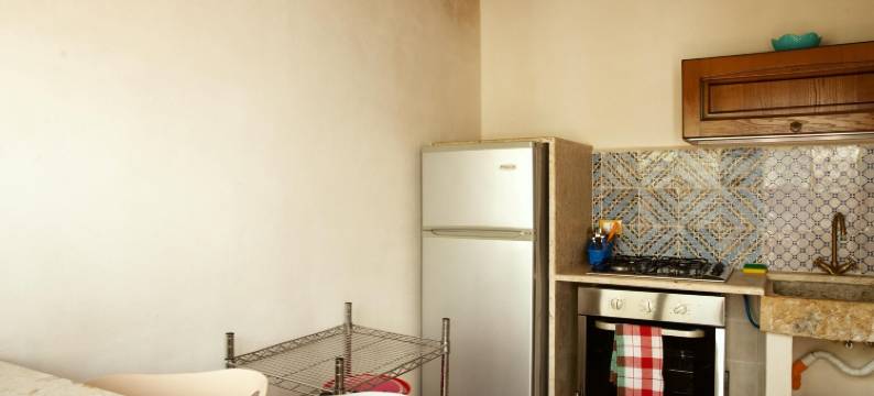 伐戴拉250公寓(Fardella 250)图片