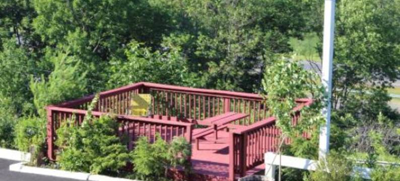 伯克希尔旅行旅馆(Berkshire Travel Lodge)图片