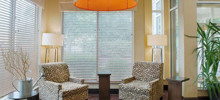 本顿维尔希尔顿花园酒店(Hilton Garden Inn Bentonville Rogers)图片