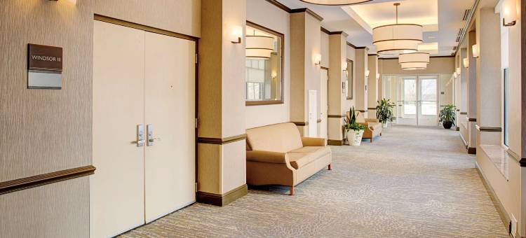 哈特福德北布拉德利国际机场希尔顿花园酒店(Hilton Garden Inn Hartford North/Bradley Int'l Airport)图片
