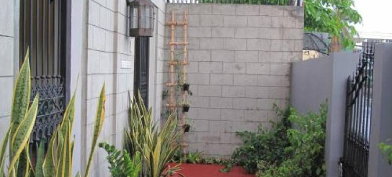 卡西塔奥罗拉住宿加早餐旅馆(Casita Aurora Bed and Breakfast)图片