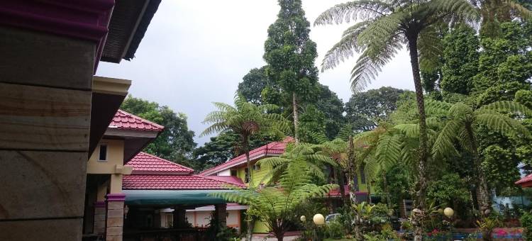 潘格兰酒店(Hotel Pangeran Padang Panjang)图片