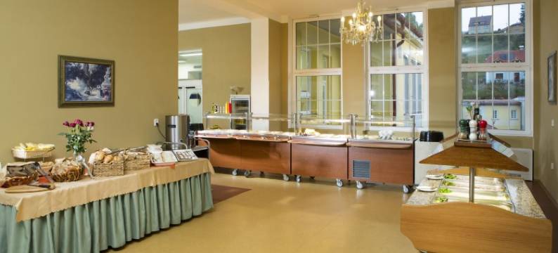 利比维达 Spa 度假村 - 朋友之地别墅(Spa Resort Libverda - Villa Friedland)图片