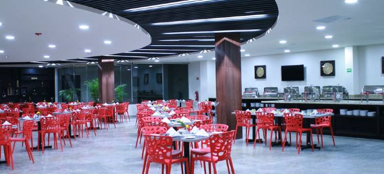 伊拉帕托舒适酒店(Comfort Inn Irapuato)图片