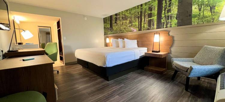 Best Western Tree City Inn图片