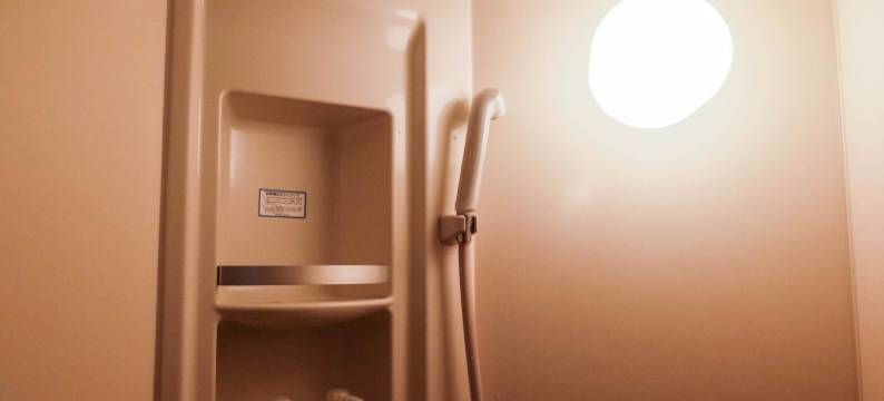 新宿卓越酒店(Ace Inn Shinjuku)图片