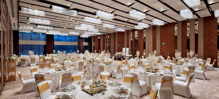 伊斯坦布尔阿塔图尔克机场希尔顿花园酒店(Hilton Garden Inn Istanbul Atatürk Airport)图片