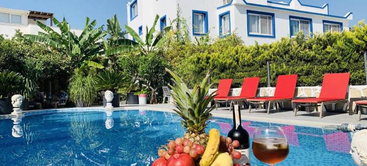 博德鲁姆阿图克酒店(Artunc Hotel Bodrum)图片