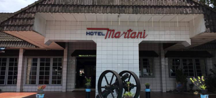 马塔尼酒店(Hotel Martani)图片