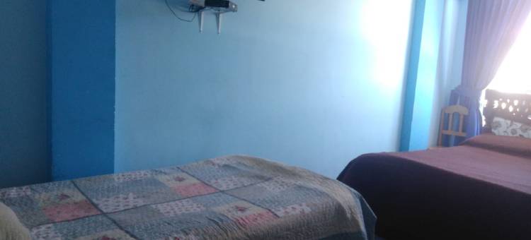 塞莱斯特青年旅舍(Hostel Celeste)图片