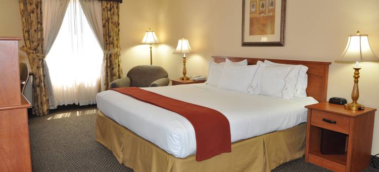 Holiday Inn Express 拉斯维加斯内利斯(Holiday Inn Express Las Vegas-Nellis)图片