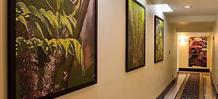 泰拉诺瓦贝斯特韦斯特高级精选酒店(Terra Nova All Suite Hotel)图片