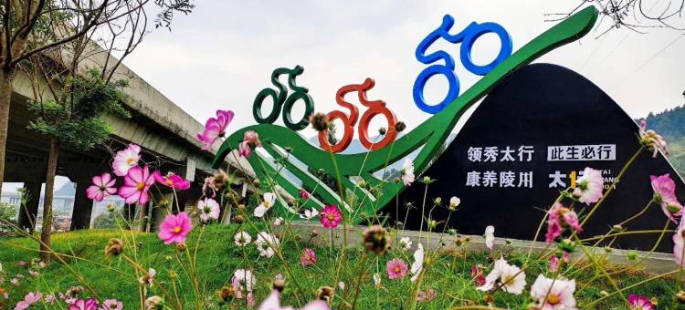 陵川县好梦松庙驿站图片