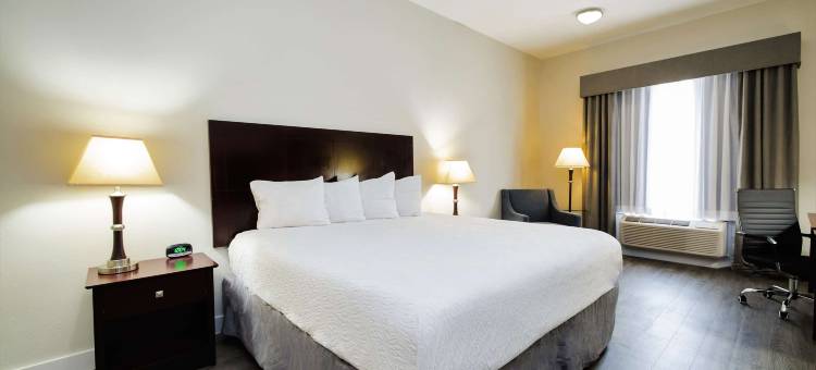 苏加兰贝斯特韦斯特酒店(Best Western Sugarland Inn)图片