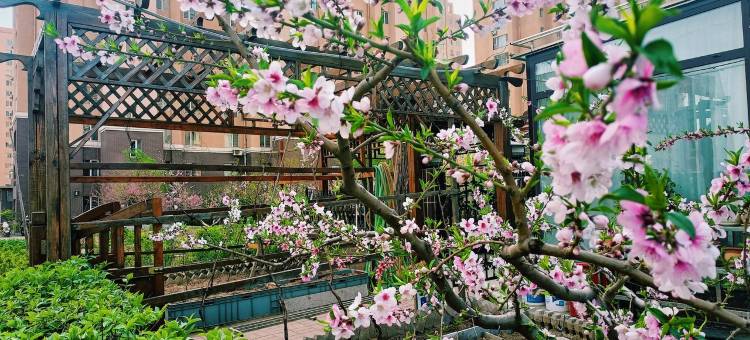 乐客居短租公寓(锦义街1号分店)图片