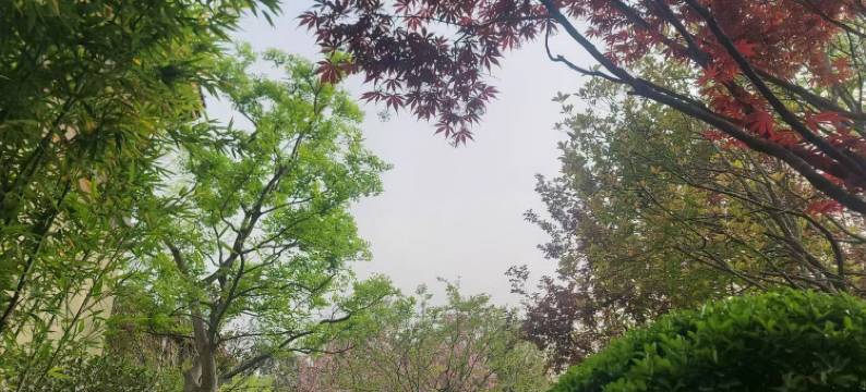 太白山康之洋私汤温泉度假别墅(太白山景区唐镇店)图片