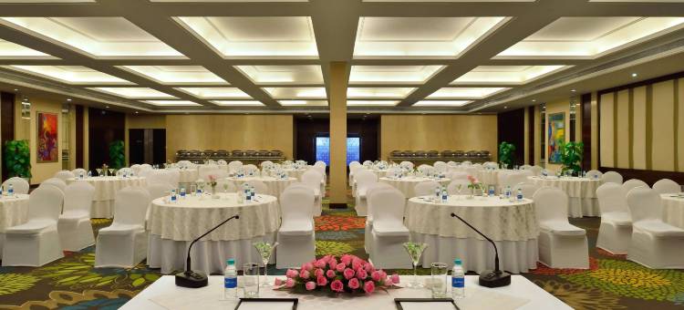 齐普尔丽笙酒店(Radisson Blu Jaipur)图片