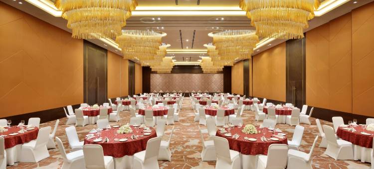 法里达巴德丽笙酒店(Radisson Blu Faridabad)图片