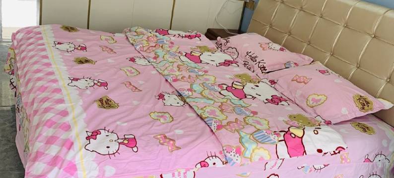 伊人民宿(玉兰路分店)图片