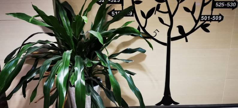 蓉港酒店(成都双流机场店)图片