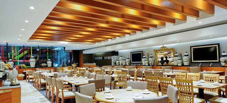 伊拉普阿托假日酒店(Holiday Inn IRAPUATO by IHG)图片