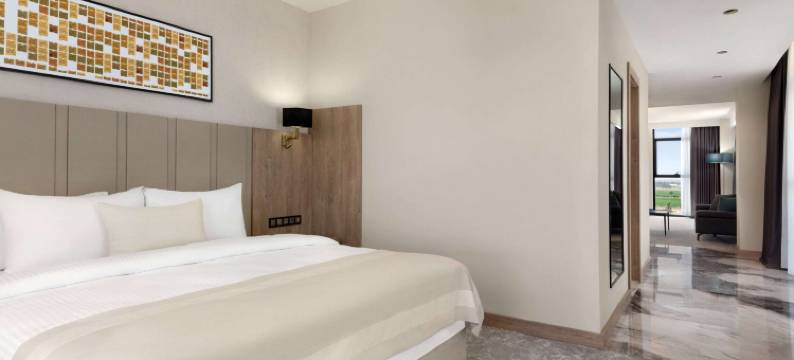 温德姆华美达广场酒店巴特曼(Ramada Plaza by Wyndham Batman)图片