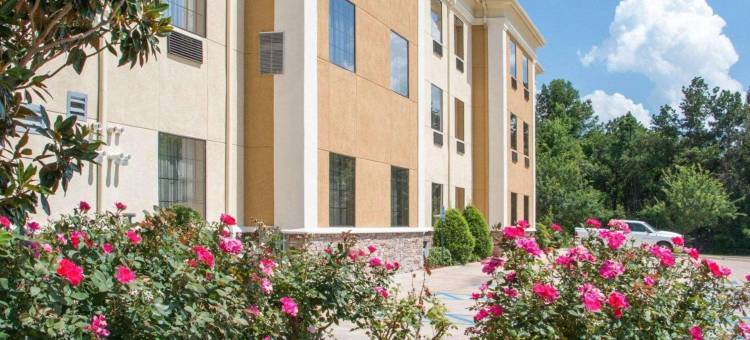 什里夫波特西I-20舒适套房酒店(Comfort Suites Shreveport West I-20)图片