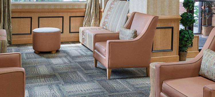 彼得斯堡舒适酒店，靠近李堡区域(Comfort Inn Petersburg Fort Lee Area)图片