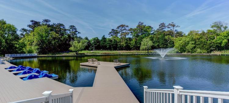 希尔顿度假俱乐部海滩林地奇蒂豪克(Hilton Vacation Club Beachwoods Kitty Hawk)图片
