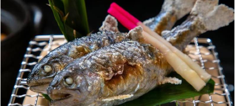 人吉温泉旅馆翠岚楼(Hitoyoshi Onsen Ryokan Suiranrou)图片