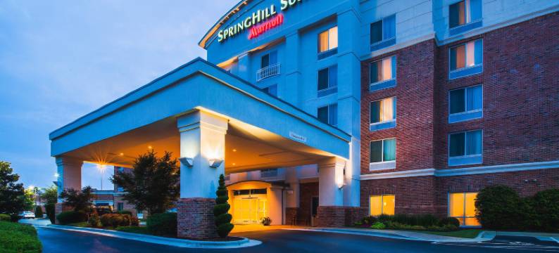夏洛特诺曼湖/莫尔斯威尔 SpringHill Suites 酒店(SpringHill Suites Charlotte Lake Norman/Mooresville)图片