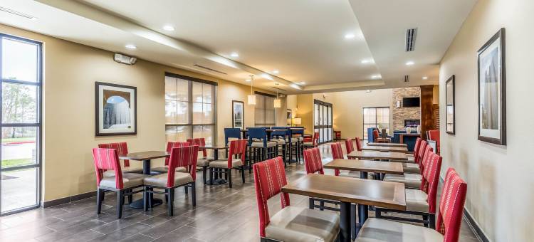 舒适套房酒店(Comfort Suites)图片