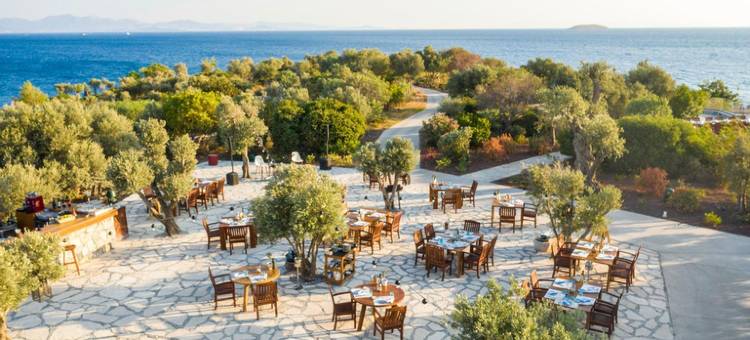 卡普兰卡亚六善酒店(Six Senses Kaplankaya)图片