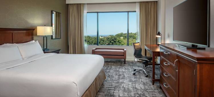 格林维尔希尔顿酒店(Hilton Greenville)图片